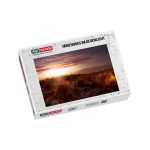 Puzzle Dünengras im Gegenlicht