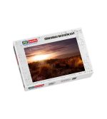 Puzzle Dünengras im Gegenlicht