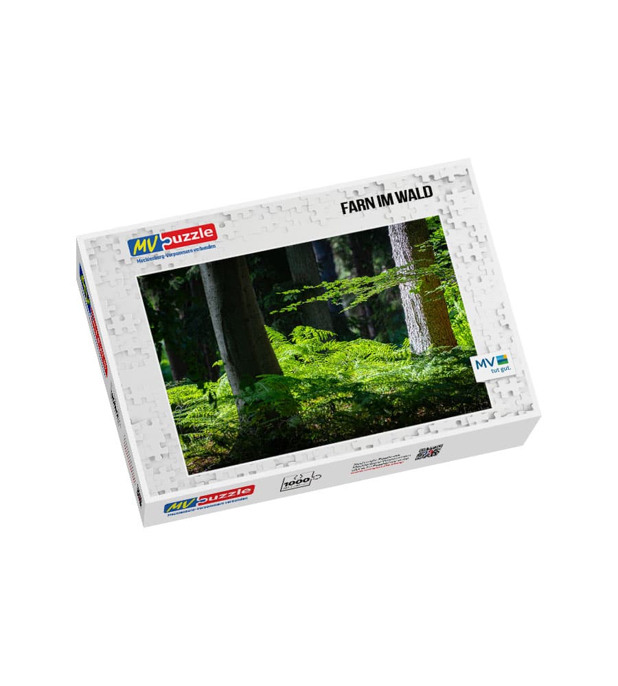 001-farn_im_wald-MVP-909617 Puzzle Farn im Wald – Bild 1