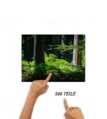 Puzzle Farn im Wald – Bild 3