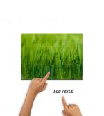 Puzzle Gerste im Detail – Bild 3