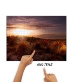 Puzzle Dünengras im Gegenlicht – Bild 2