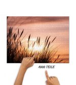 Puzzle Dünengras am Abend – Bild 2