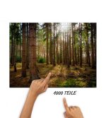Puzzle Fichtenwald – Bild 2