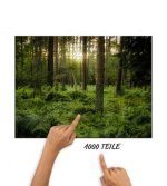 Puzzle Rostocker Dschungel – Bild 2