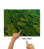 Puzzle Wald von oben – Bild 2