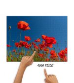 Puzzle zwischen Mohnblumen – Bild 2
