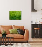 Puzzle Gerste im Detail – Bild 5