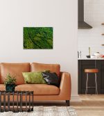 Puzzle Wald von oben – Bild 5